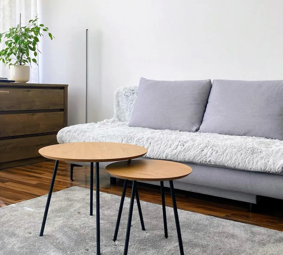 Large Cozy Studio With Balcony And Kitchen At Pasing의 연락처
