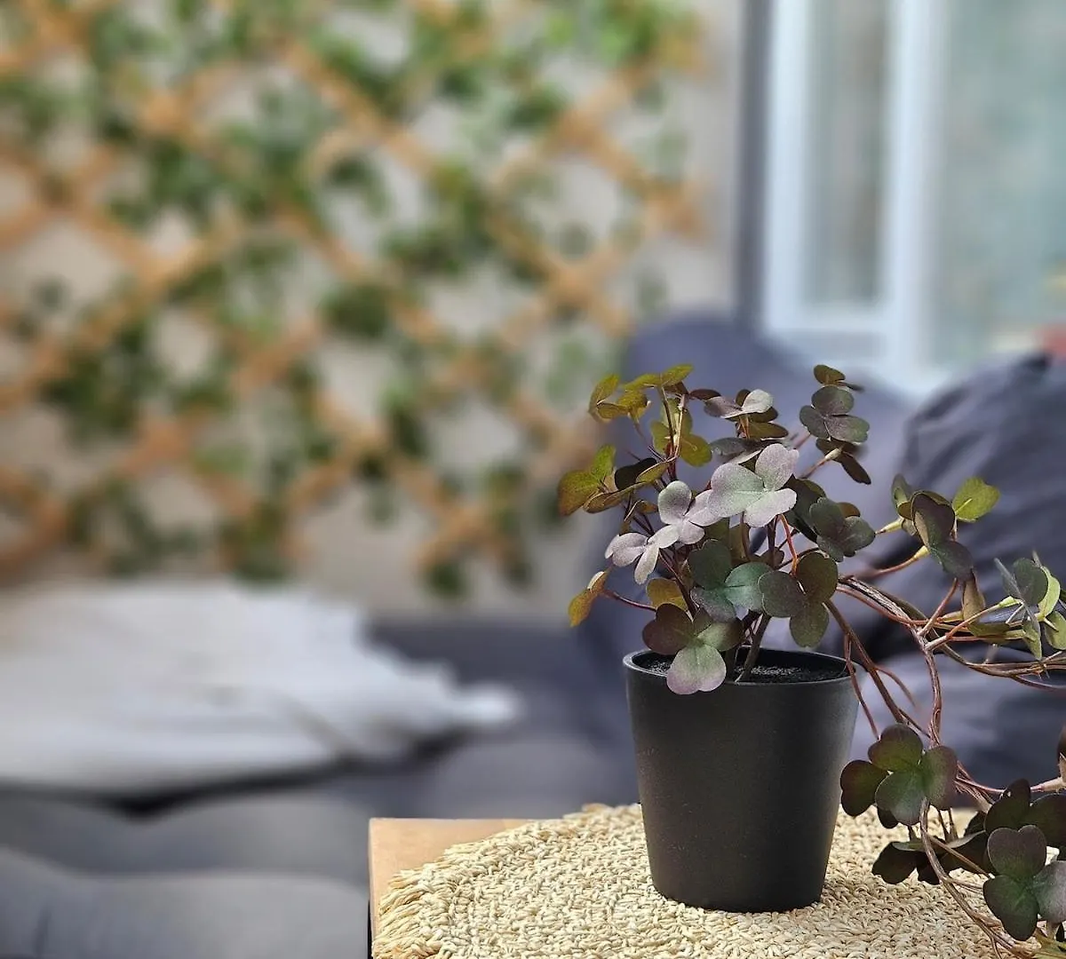Large Cozy Studio With Balcony And Kitchen At Pasing 뮌헨 독일