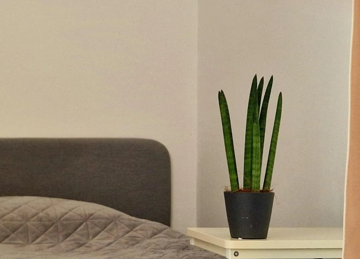 Large Cozy Studio With Balcony And Kitchen At Pasing München 0*,