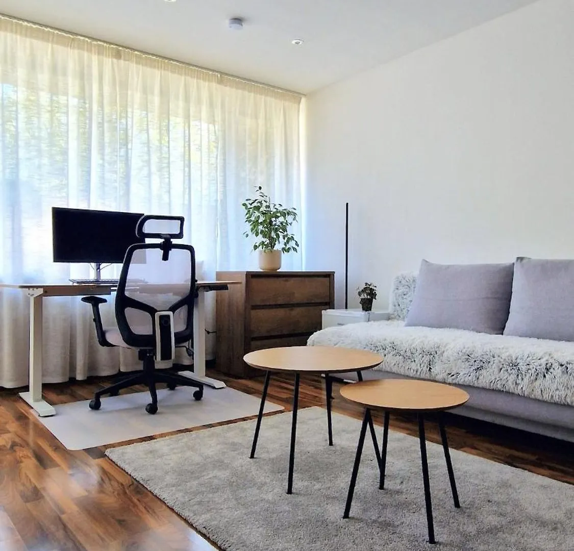 Large Cozy Studio With Balcony And Kitchen At Pasing München Apartman